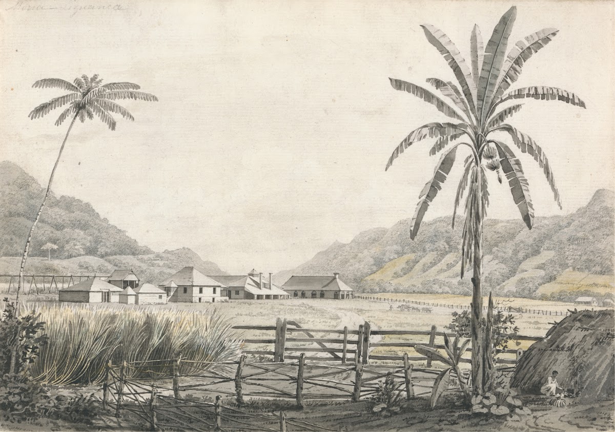 A View Of Hall Head Sugar Plantation Jamaica Ca 1780