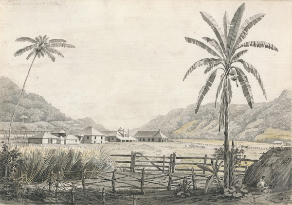 A View Of Hall Head Sugar Plantation Jamaica Ca 1780