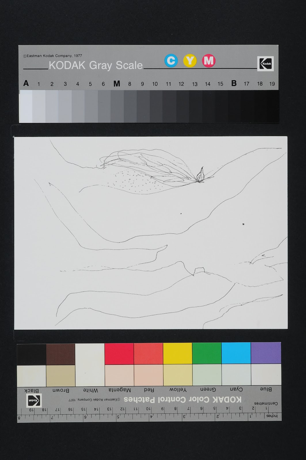 Drawn Poems