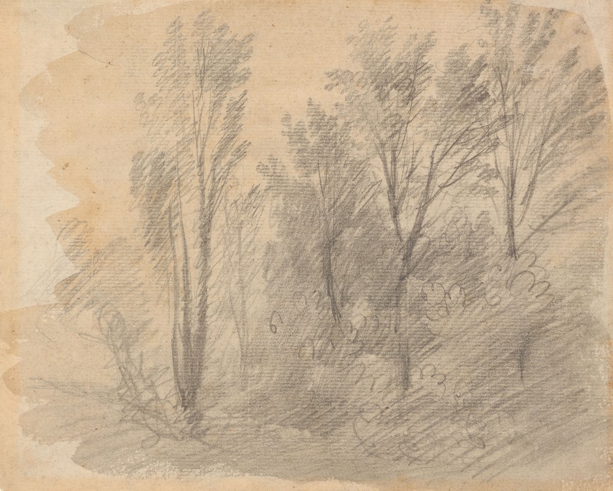 Study of Trees 1750