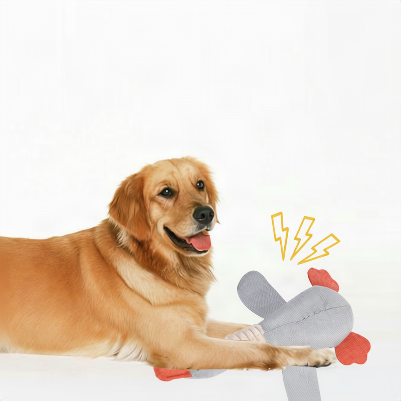 Plüsch-Hundespielzeug mit Quietscher