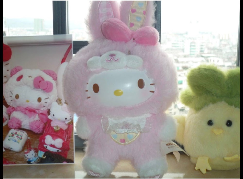 dreamy sanrio vibes 💖