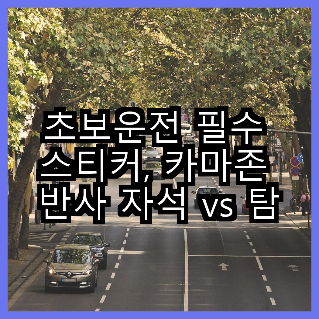 초보운전 필수 스티커, 카마존 반사 자석 vs 탐사 반사 자석, 어떤 선택이 더 좋을까? 썸네일