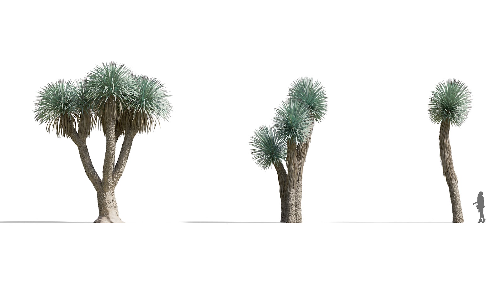 Maxtree - Plant Models Vol.73