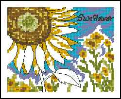 CMP 171504 Sunflower