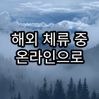 해외 체류 중 온라인으로 처리 가능한 행정 민원 범위