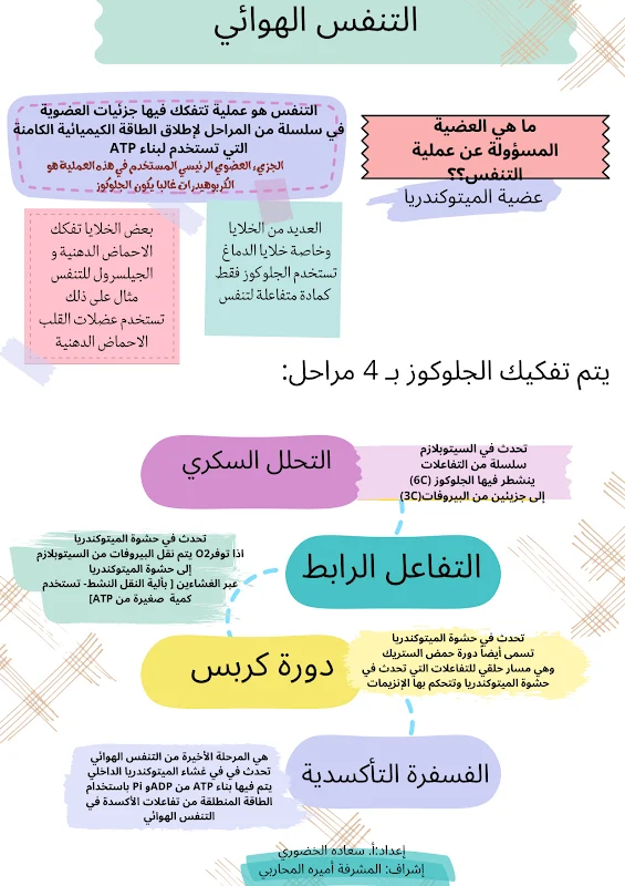 صورة الغلاف