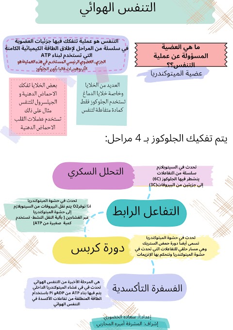 شرح درس التنفس الهوائي - أحياء الصف 12 الفصل 2 (4)