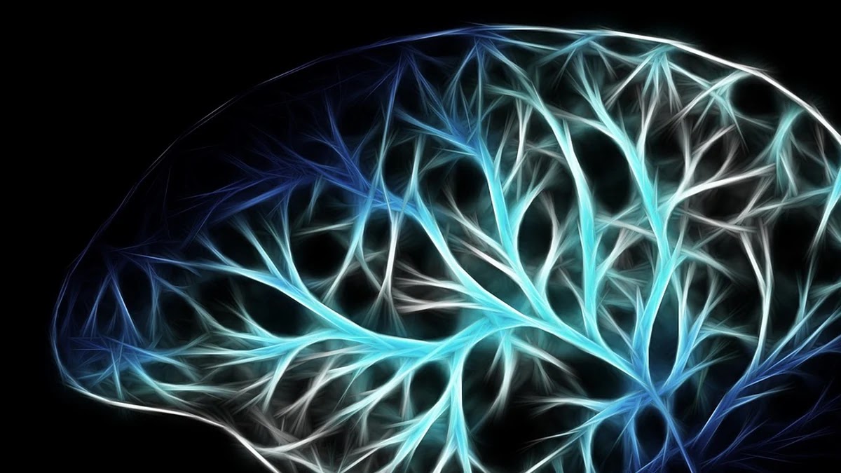 직관적 판단과 분석적 사고의 심리적 차이 구조