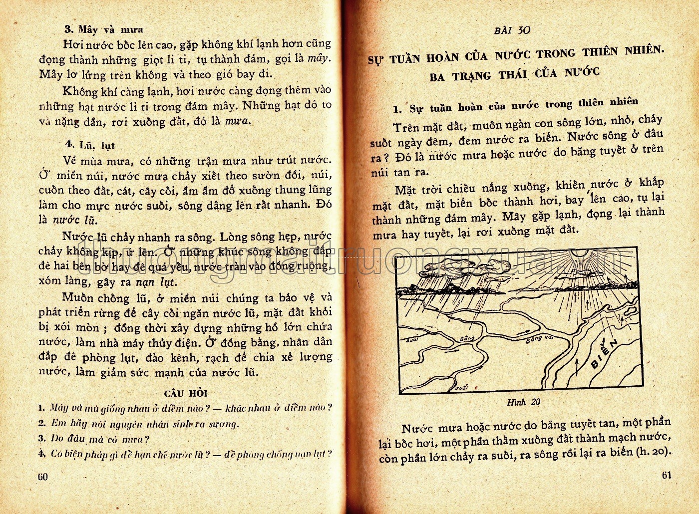 Khoa học thường thức lớp 5 phổ thông - Trang 130