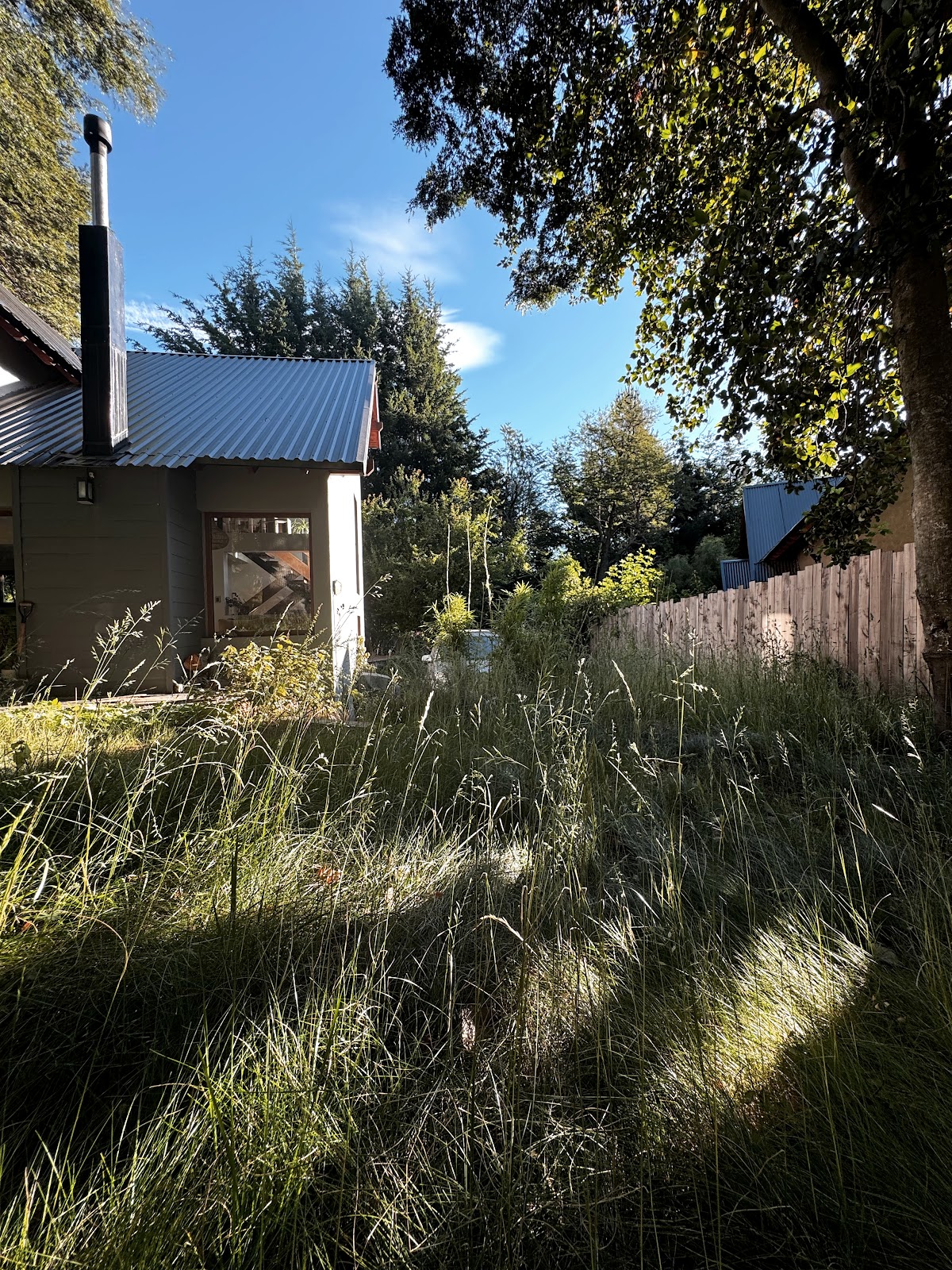 Casa Calma — jardín y entorno natural