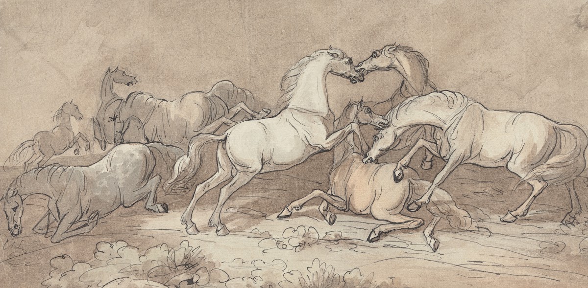 A Group of Eight Horses Fighting