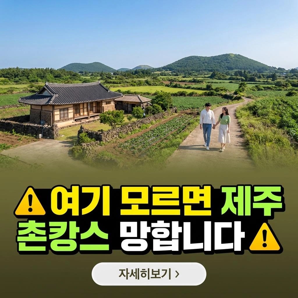 제주 촌캉스 완벽 가이드: 아이와 함께 잊지 못할 추억 만들기