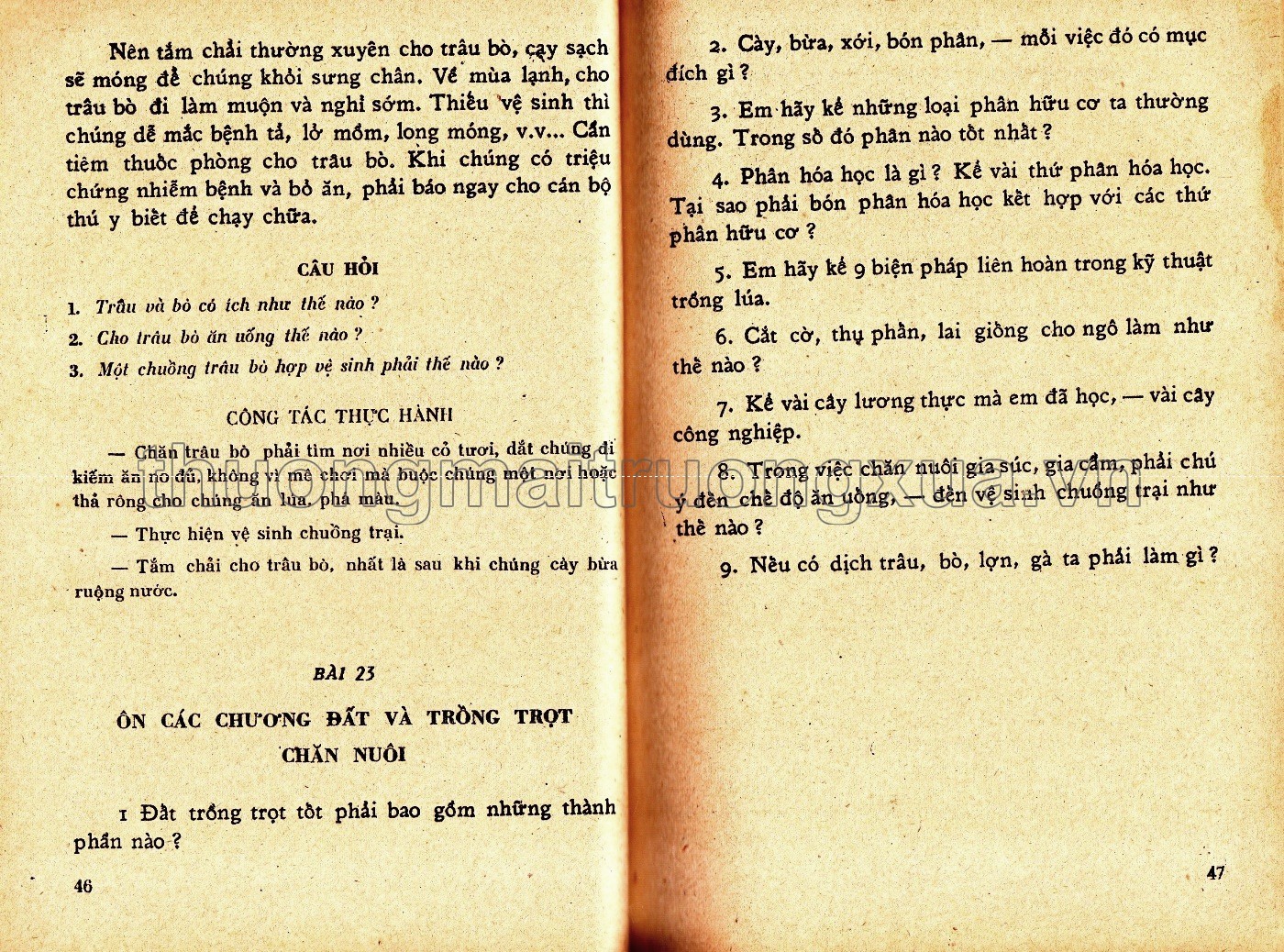 Khoa học thường thức lớp 5 phổ thông - Trang 123