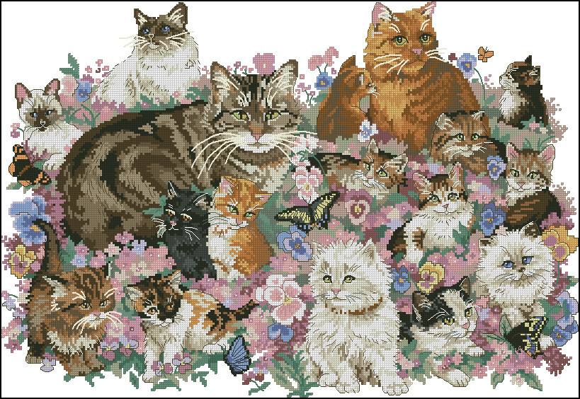 DIM72428 Feline Fascination