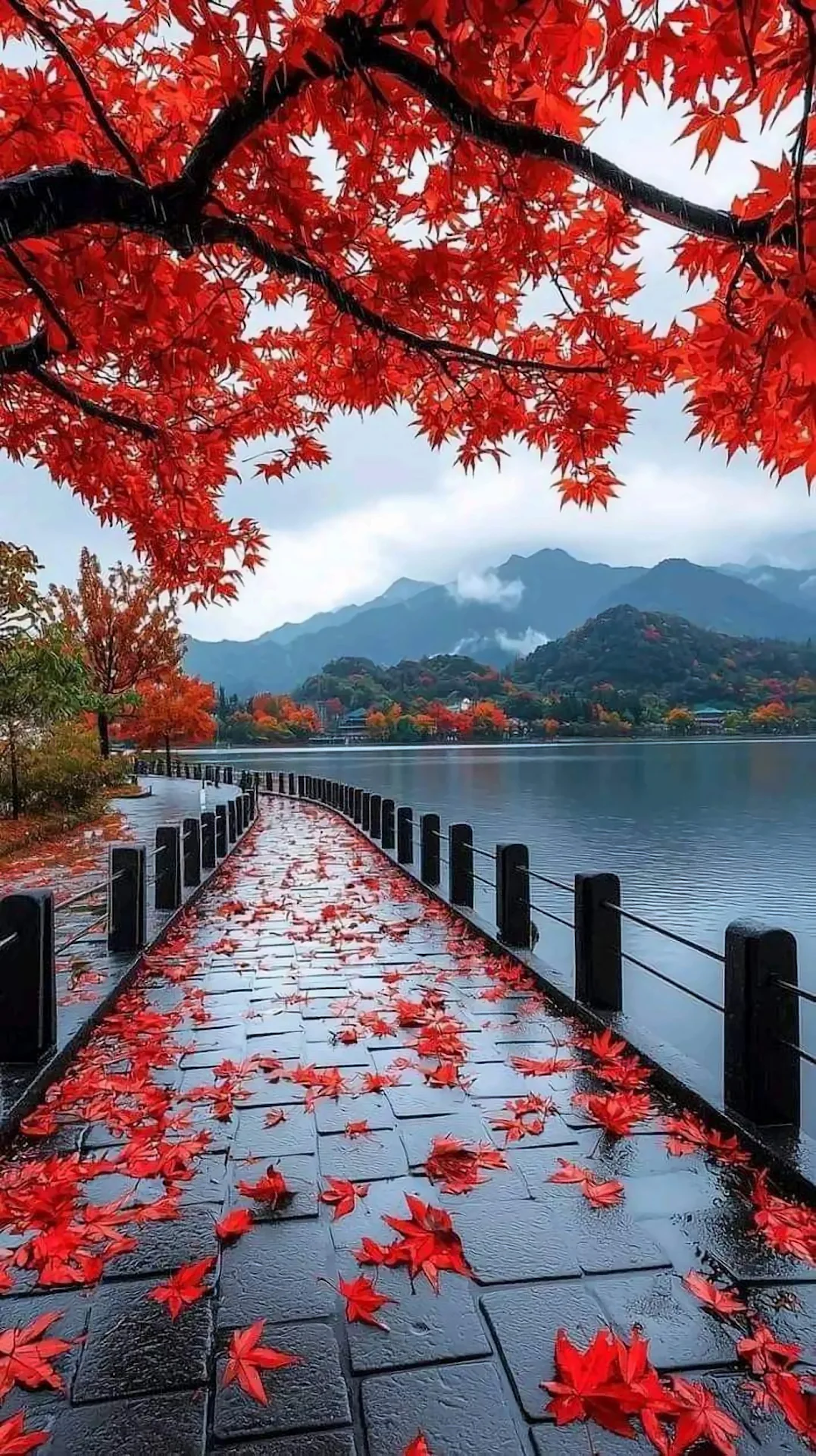 Red Maple Leaves on Wet Stone Path by Mountain Lake - Free 4K mobile Wallpaper