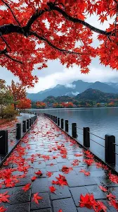 Red Maple Leaves on Wet Stone Path by Mountain Lake