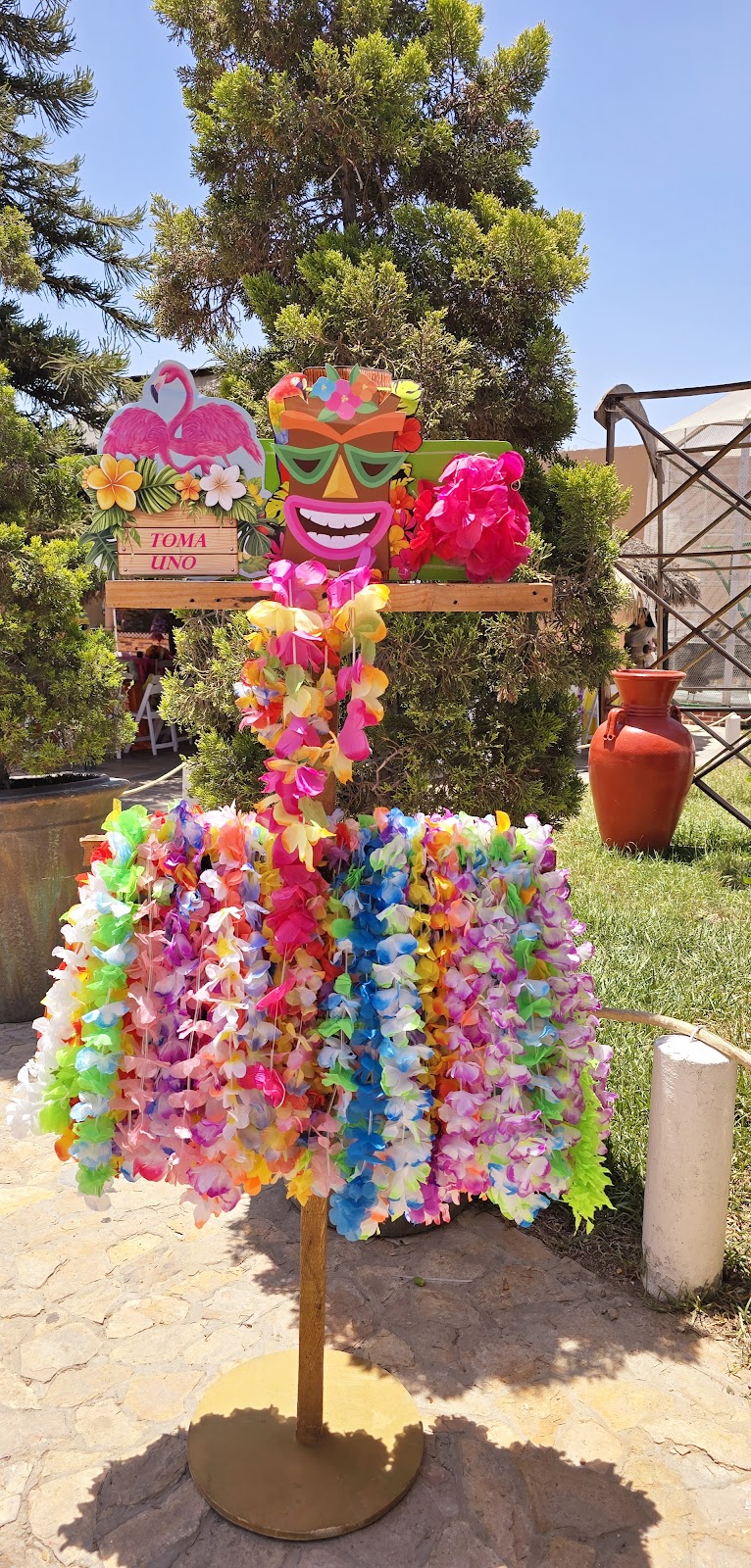 Fiestas infantiles - Celebraciones para niños - Marbella Princess Parties Tijuana