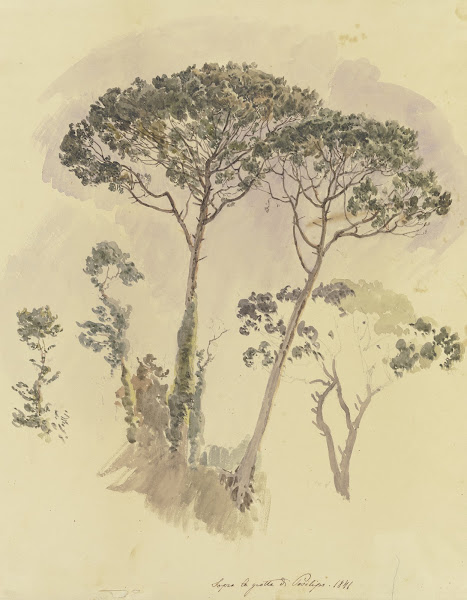 Pinien oberhalb der Grotte von Posilipo 1841