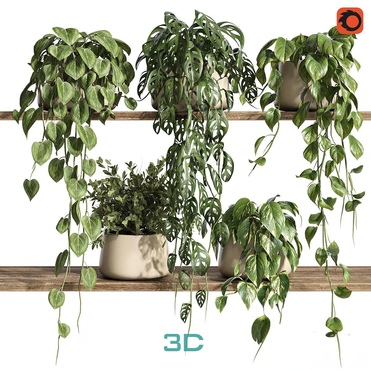 978.Sell Album Indoor Plant PRO Vol 01