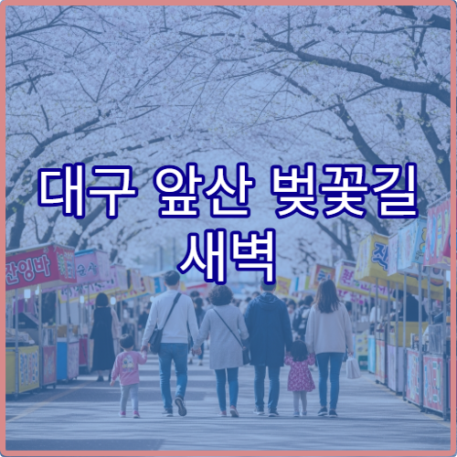 대구 앞산 벚꽃길 새벽 6시 산책으로 즐기는 조용하고 한적한 코스 추천