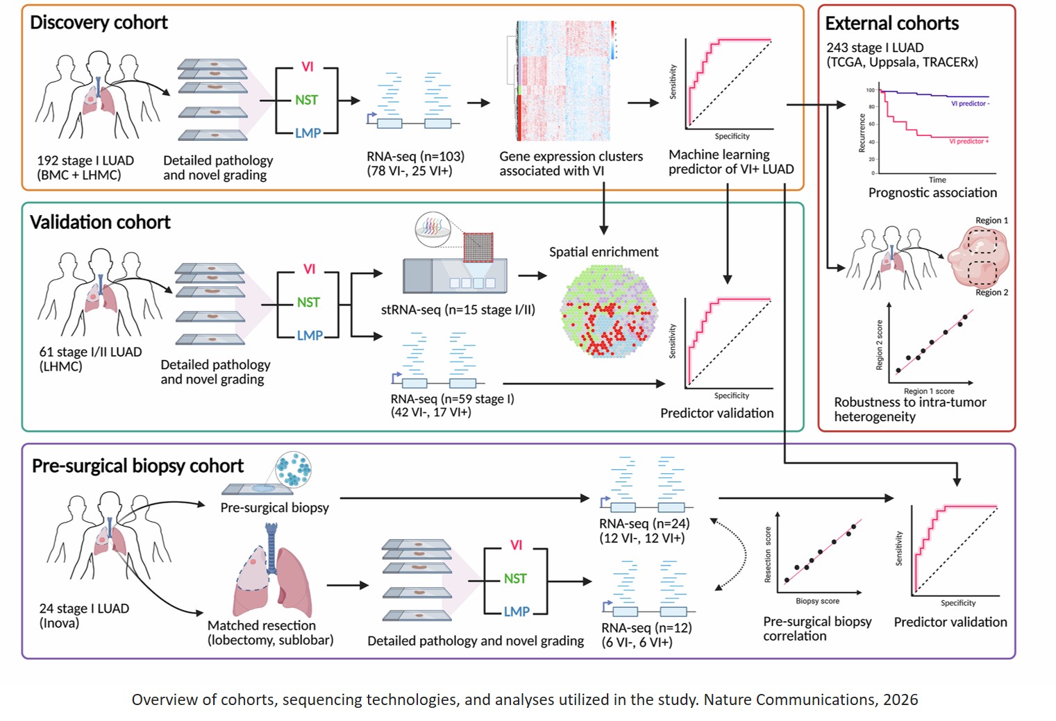 Vascular invasion-associated gene expression is detectable in pre-surgical biopsies of stage I lung adenocarcinoma