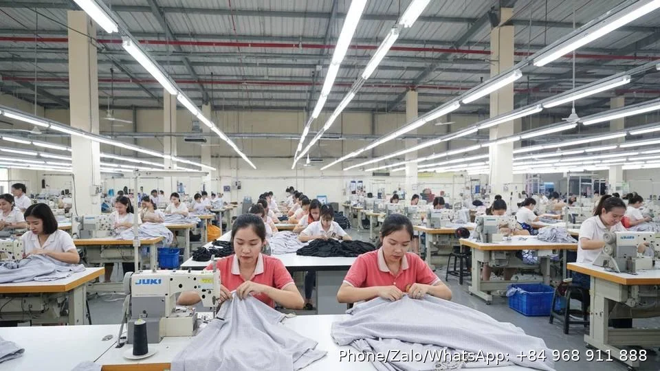 New Garment Manufacturing - Gold Garment Vietnam