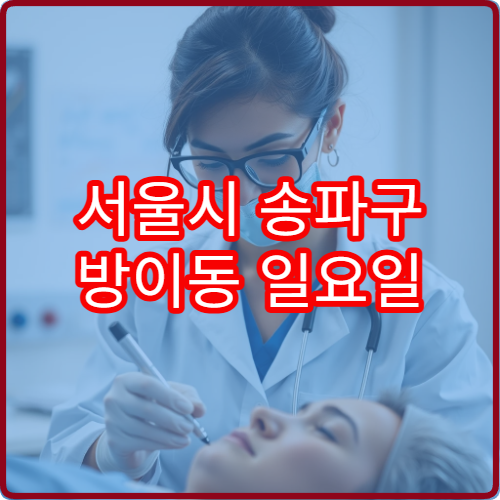 서울시 송파구 방이동 일요일 비뇨의학과 진료 병원 응급 진료