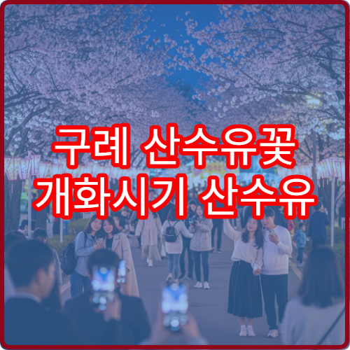 구례 산수유꽃 개화시기 산수유 절정 예상