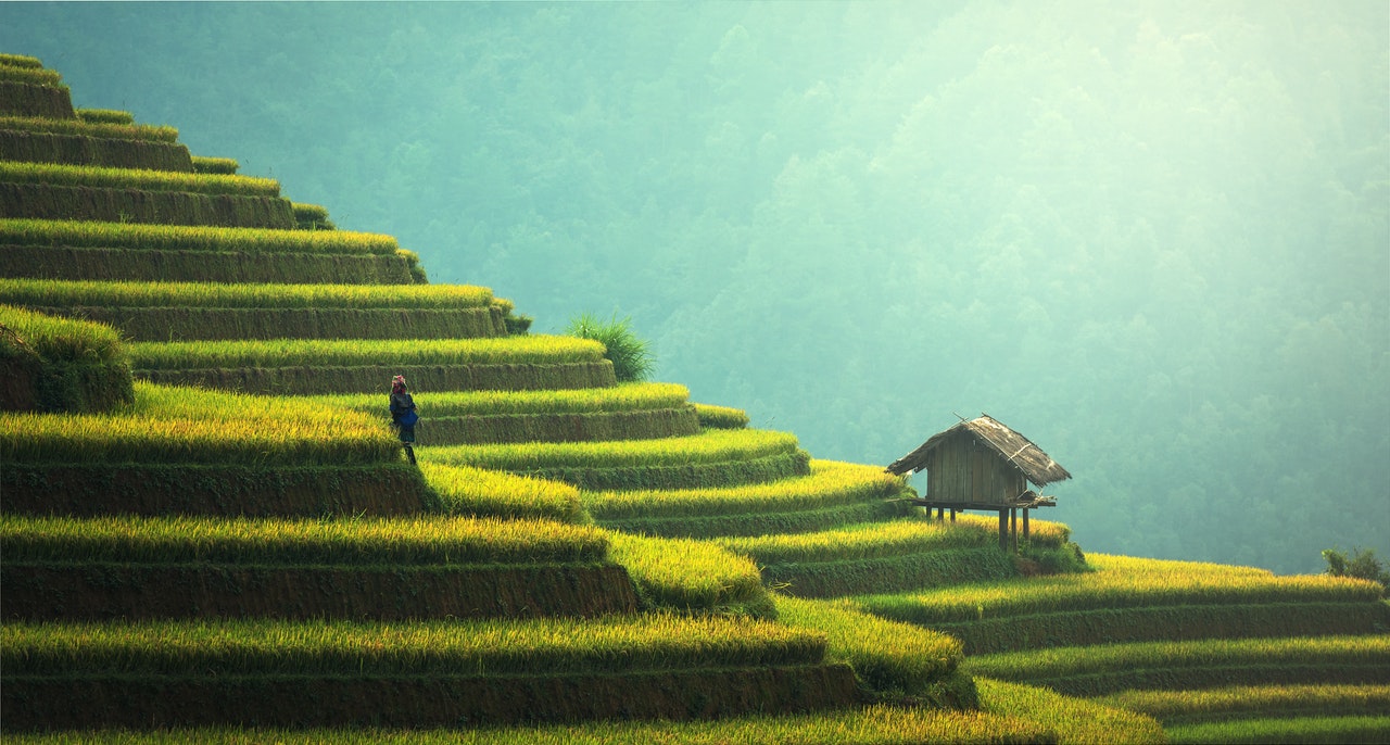 Traveling to terraces Bali. Guide Climate Friendly travel, eco travel tips, Eco travel preparation. CarbonEthics Indonesia
