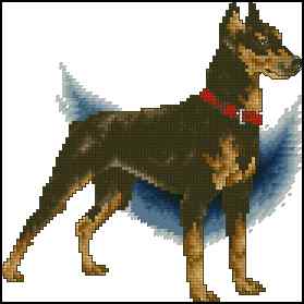 CMP 400175 Doberman