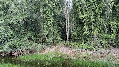 Tanah Pertanian 2.7 Ekar, Sungai Rambai, Melaka (Freehold) — foto 2/3