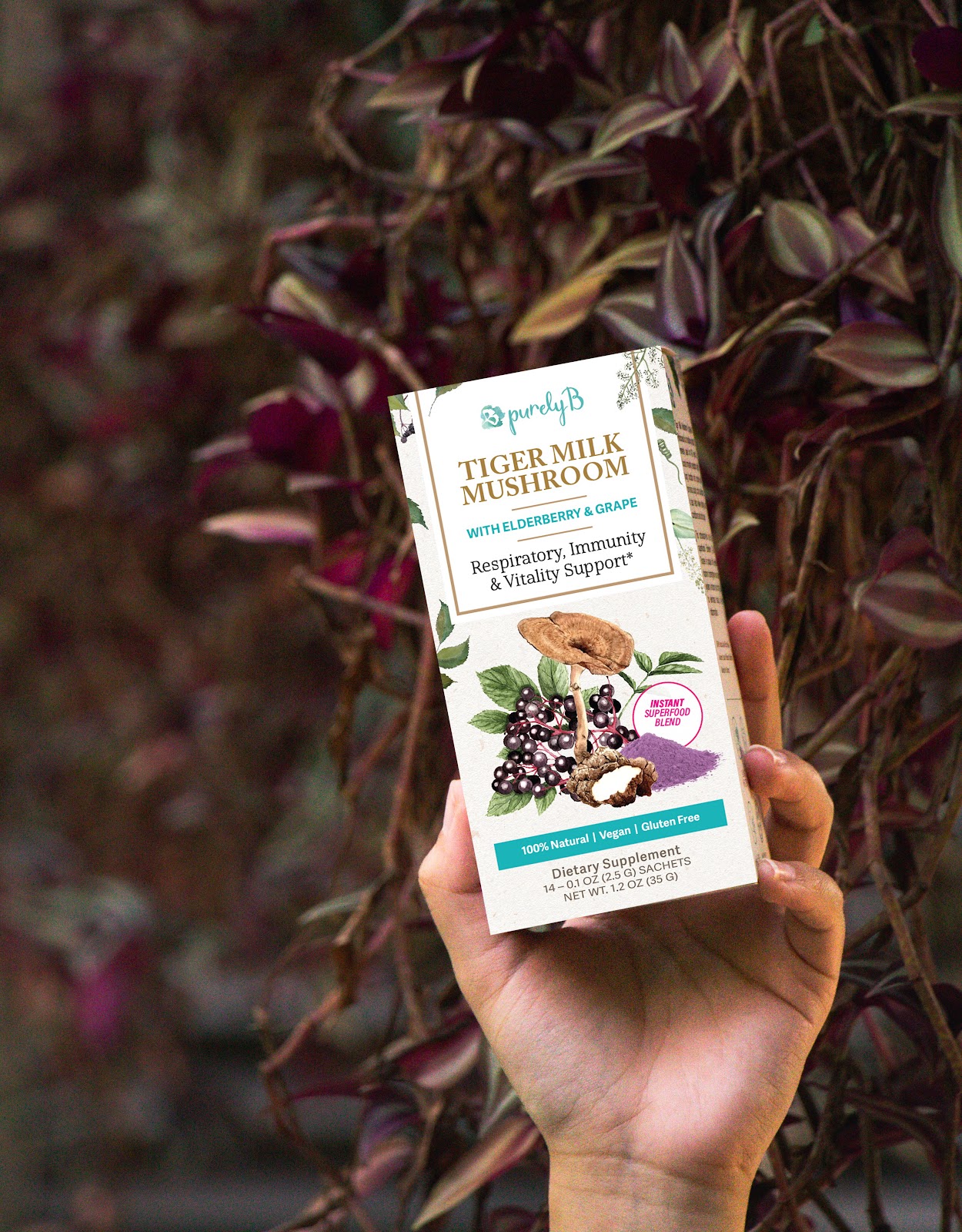 PurelyB Tiger Milk Mushroom 14-sachet box