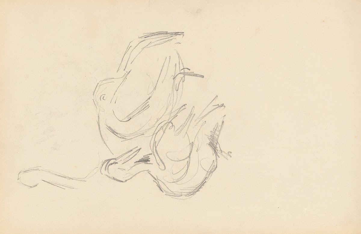 Pelicans 1877 1880