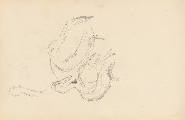 Pelicans 1877 1880