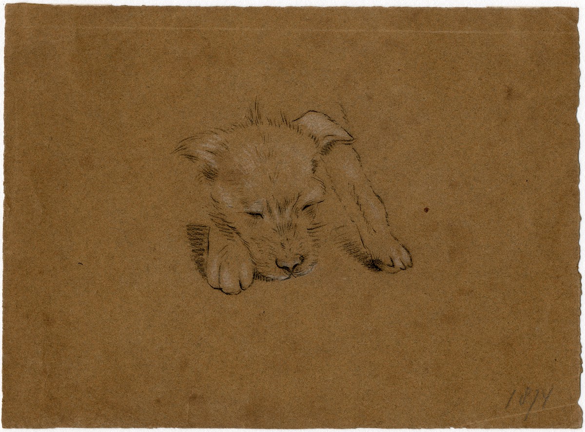 Head of a dog 1874