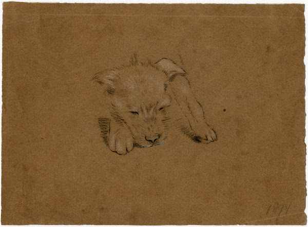 Head of a dog 1874