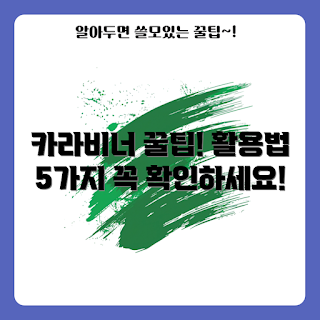 카라비너대형 활용법, 카라비너대형 사용법, 카라비너 활용, 레저 장비, 캠핑 필수품