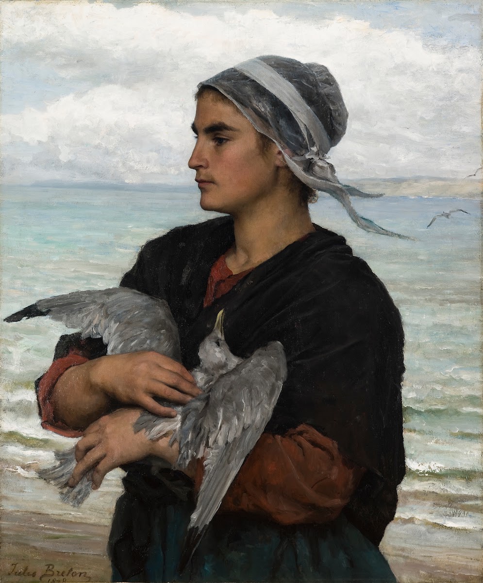 The Wounded Seagull 1878