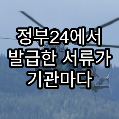 정부24에서 발급한 서류가 기관마다 다르게 인정되는 이유 분석