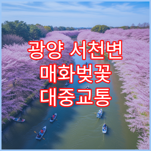 광양 서천변 매화벚꽃 대중교통 광양역에서 15분 완벽 접근법