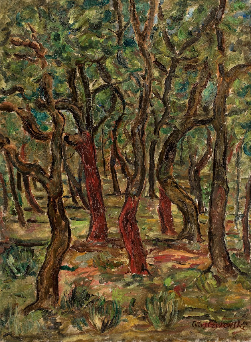 Forest 1934   1936