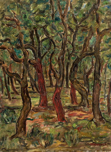Forest 1934   1936