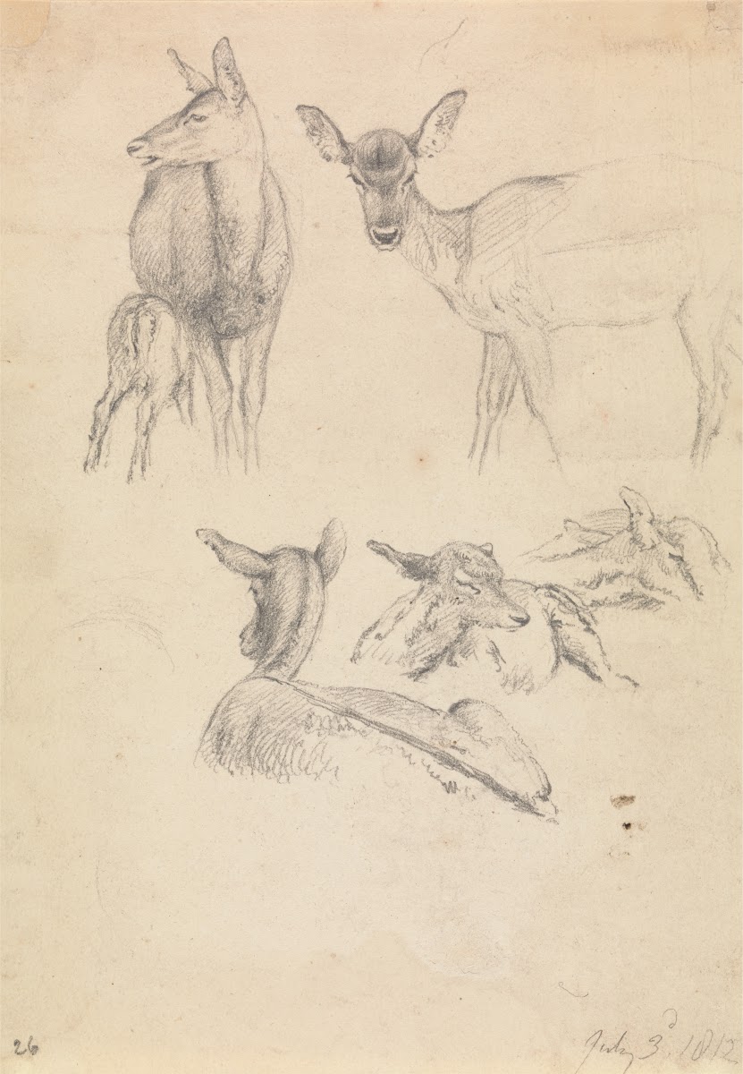 Deer and their Young 1812