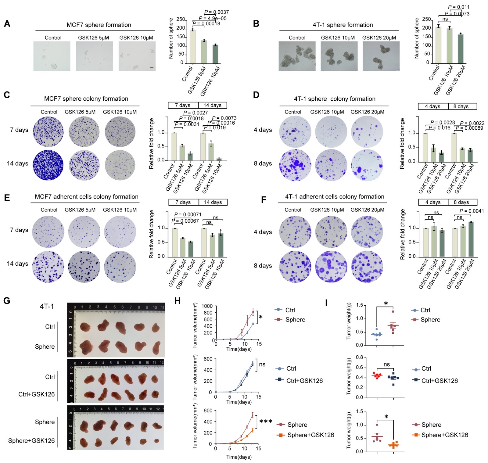 Cancer-specific bivalent promoters featuring low-level H3K27me3 signals favor active transcription and govern the cancer cell state transition