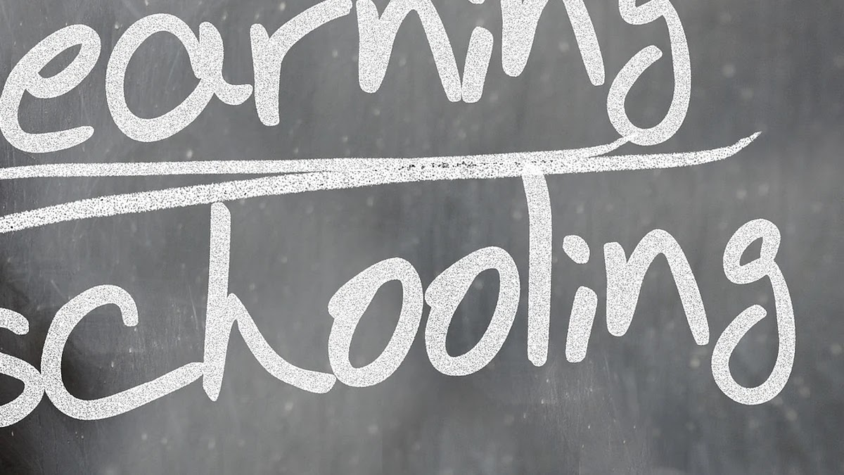 교육 제도 변화에 따른 맞춤형 진로 탐색 및 커리어 설계 방법