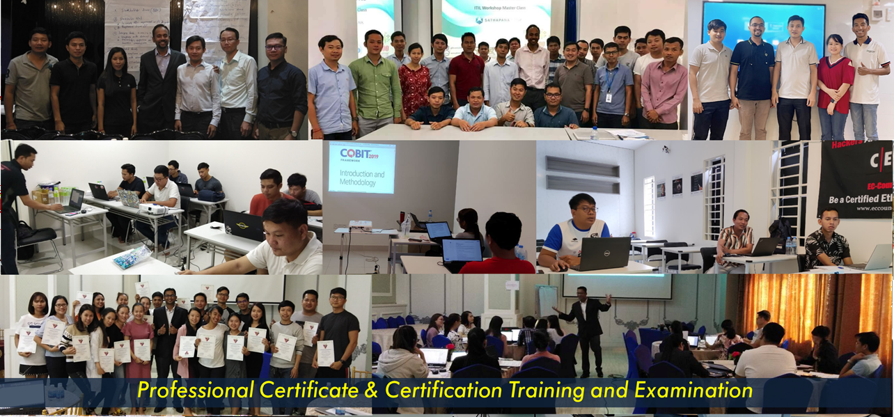 Professional and Certified Trainings
