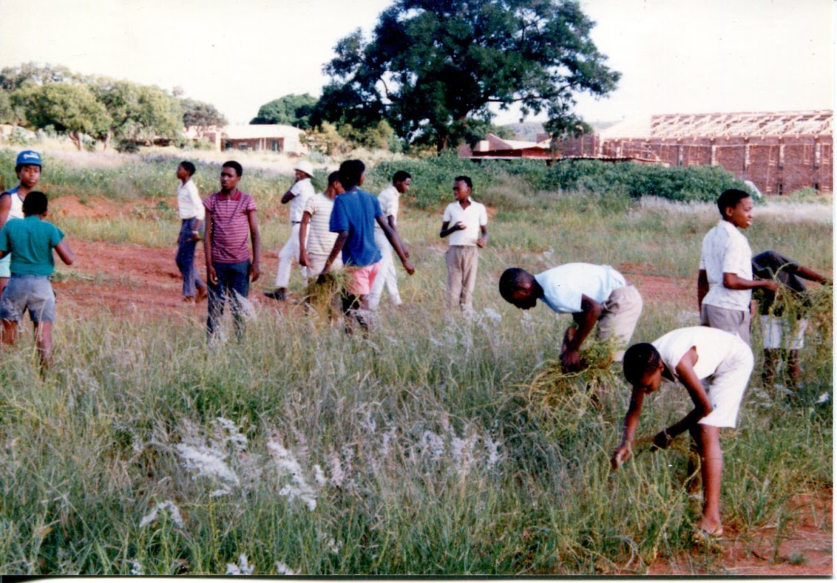 1988 — epson_917