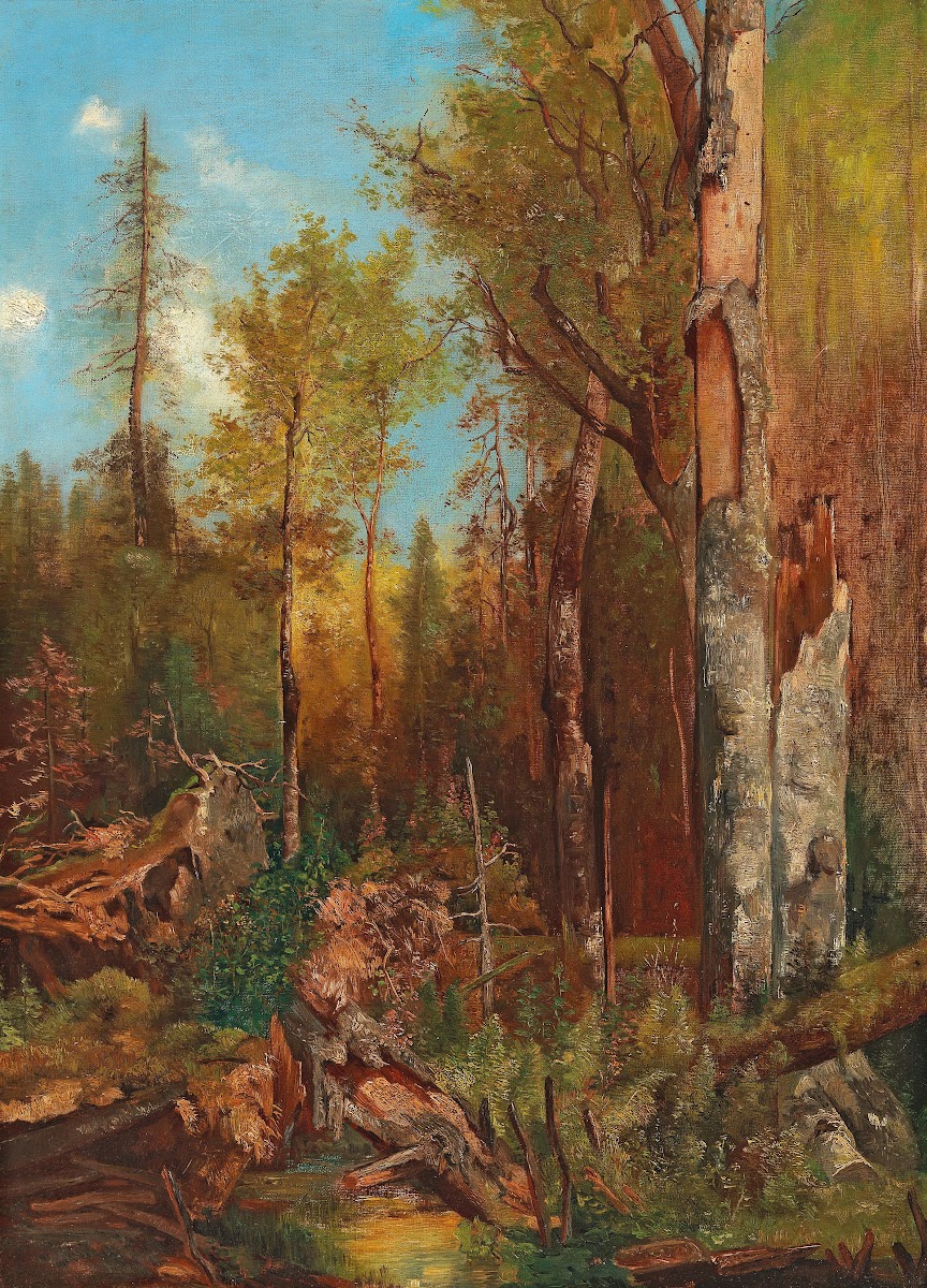 Aus den Forsten des Fürsten Schwarzenberg