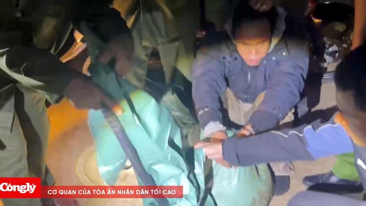 Công an mật phục xuyên đêm bắt giữ 'cẩu tặc' - Báo Công Lý